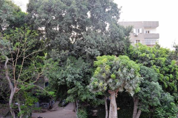 Studio avec vue sur le jardin